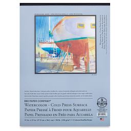 Bee Paper Aquabee Watercolor Pad - 11" x 15", 90 lb, 15 Sheets
