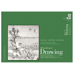Strathmore Drawing Paper Sheet 400 Series Recycled, 80 lb., 19" x 24"