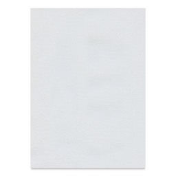 Hahnemühle Ingres Paper - 18-3/4" x 24-3/4", White, Single Sheet