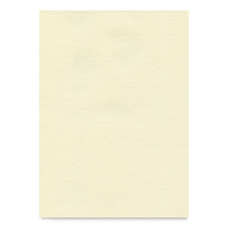 Hahnemühle Ingres Paper - 18-3/4" x 24-3/4", Ivory White, Single Sheet