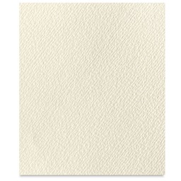 Hahnemühle Ingres Paper - 18-3/4" x 24-3/4", Antique, Single Sheet