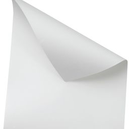 Canson C' a Grain Drawing Paper - 19-1/2" x 25-1/2", 138 lb, White