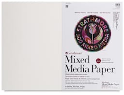 Strathmore 500 Series Mixed Media Sheets - Front of single 22"x30" Sheet with label