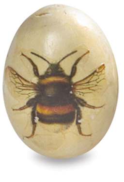Lazertran Transfer Paper - Example of finished artwork of Bee transferred onto ceramic egg