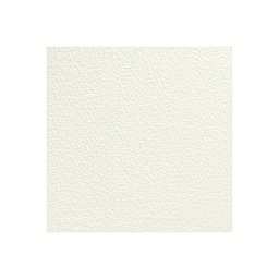 Hahnemühle Copperplate Paper - Full sheet of Warm white color shown