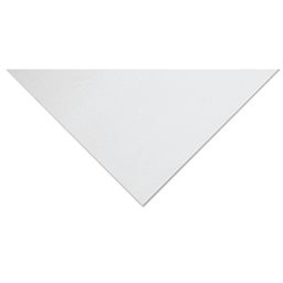 Canson Artist Series Drawing Book - 12" x 9", 60 Sheets