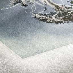 Hahnemühle Museum Etching Inkjet Photo Cards (Close-up of paper with a print)