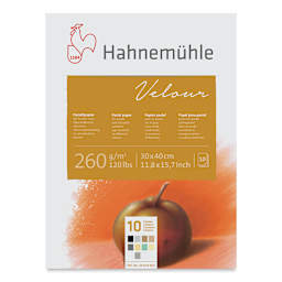 Hahnemuhle Velour Papers - 11-4/5" x 15-7/10", Assorted Colors, 10 Sheets