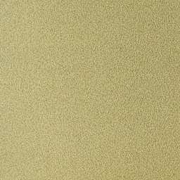 Sennelier La Carte Pastel Card - 19" x 25", Light Green