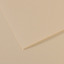 Canson Mi-Teintes Drawing Papers - 8-1/2" x 11", Eggshell, 25 Sheets