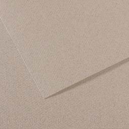 Canson Mi-Teintes Drawing Paper - 19" x 25", Moonstone, Single Sheet