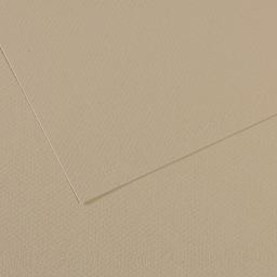 Canson Mi-Teintes Drawing Paper - 19" x 25", Pearl, Single Sheet