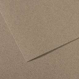 Canson Mi-Teintes Drawing Paper - 19" x 25", Steel Gray, Single Sheet