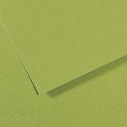Canson Mi-Teintes Drawing Papers - 8-1/2" x 11", Apple Green, 25 Sheets