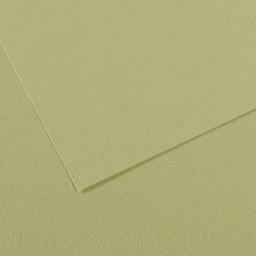 Canson Mi-Teintes Drawing Paper - 19" x 25", Light Green, Single Sheet