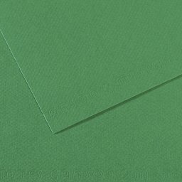 Canson Mi-Teintes Drawing Paper - 19" x 25", Viridian, Single Sheet