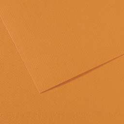 Canson Mi-Teintes Drawing Paper - 19" x 25", Buff, Single Sheet