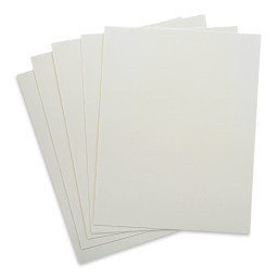 Brush and Pencil LuxArchival Professional Sanded Art Paper - 11" x 14", 400 Grit, Pkg of 5 (Out of package)