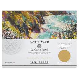 Sennelier La Carte Pastel Card - Monochrome Naples Yellow, 12" x 15-3/4", Pkg of 6