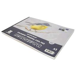 Art Spectrum Colourfix Pastel Pad - Pkg of 12 Sheets, Cool Tones, A3 - angled