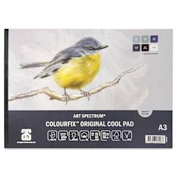 Art Spectrum Colourfix Pastel Pad - Pkg of 12 Sheets, Cool Tones, A3