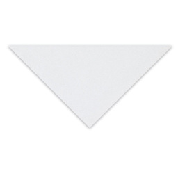 Clairefontaine Pastelmat Sheet - 27-1/2" x 39-1/2", White, 1 Sheet