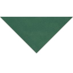 Clairefontaine Pastelmat Sheet - 9-1/2" x 12-1/2", Dark Green, 1 Sheet