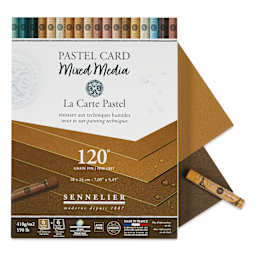 Sennelier La Carte Pastel Card Mixed Media Pad - Earth Tones, 7" x 9-1/2", single sheets shown