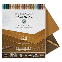 Sennelier La Carte Pastel Card Mixed Media Pad - Earth Tones, 9-1/2" x 12", single sheets shown