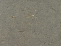 Thai Banana Paper - Full sheet of Clay color paper 