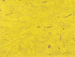 Thai Banana Paper - Full sheet of Mustard color paper 