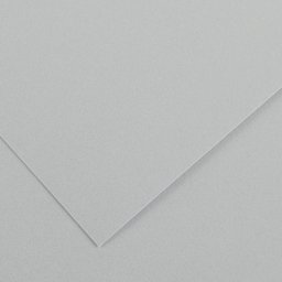 Canson Colorline Art Paper - 19" x 25", 300 gsm, Pebble Gray