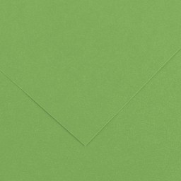 Canson Colorline Art Paper - 19" x 25", 150 gsm, Bright Green