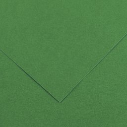 Canson Colorline Art Paper - 19" x 25", 150 gsm, Moss Green