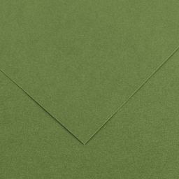 Canson Colorline Art Paper - 19" x 25", 300 gsm, Khaki Green