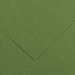 Canson Colorline Art Paper - 19" x 25", 150 gsm, Khaki Green