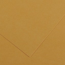 Canson Colorline Art Paper - 19" x 25", 300 gsm, Leather