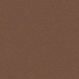 COLORLINE DRAW PAPER 150G 8.5X11 NUT