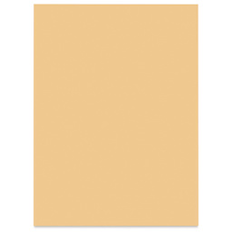 Pacon Tru-Ray Construction Paper - 9" x 12", Almond, 50 Sheets (front of sheet)