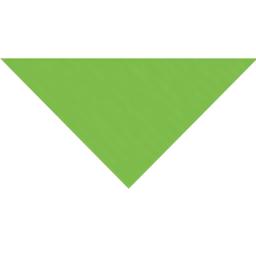 Fabriano Elle Erre Pea Green 27.5" x 20"