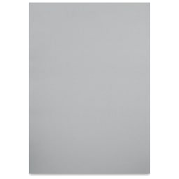 Blick Premium Cardstock - 19-1/2" x 27-1/2", Silver, Single Sheet