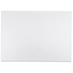 Blick Premium Construction Paper - 19-1/2" x 27-1/2", White, Single Sheet