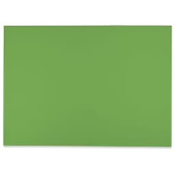 Blick Premium Colored Art Paper - 19-1/2" x 27-1/2", Green, Single Sheet