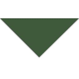 Blick Premium Colored Art Paper - 19-1/2" x 27-1/2", Dark Green, Single Sheet