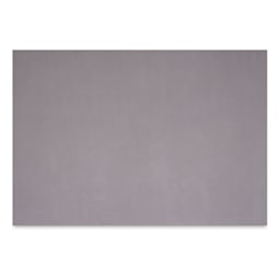 Clairefontaine Pastelmat Mounted Board - Dark Grey, 27-1/2" x 39-1/2" (full sheet)