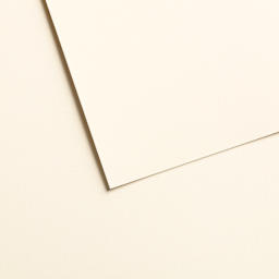 Canson Mi-Teintes Velvet Pastel Paper - 19.5" x 25.5", Cream White, 430 gsm, Single Sheet