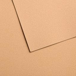 Canson Mi-Teintes Velvet Sheet - 19.5" x 25.5", 603 Golden Beige, 430 gsm, Single Sheet