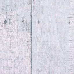 Fadeless Schoolgirl Style Bulletin Paper - Southern Charm