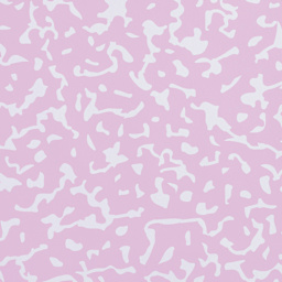  Fadeless Schoolgirl Style Bulletin Paper - Junior Year