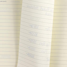 Leuchtturm1917 Ruled Hardbound Notebooks, ink bleed